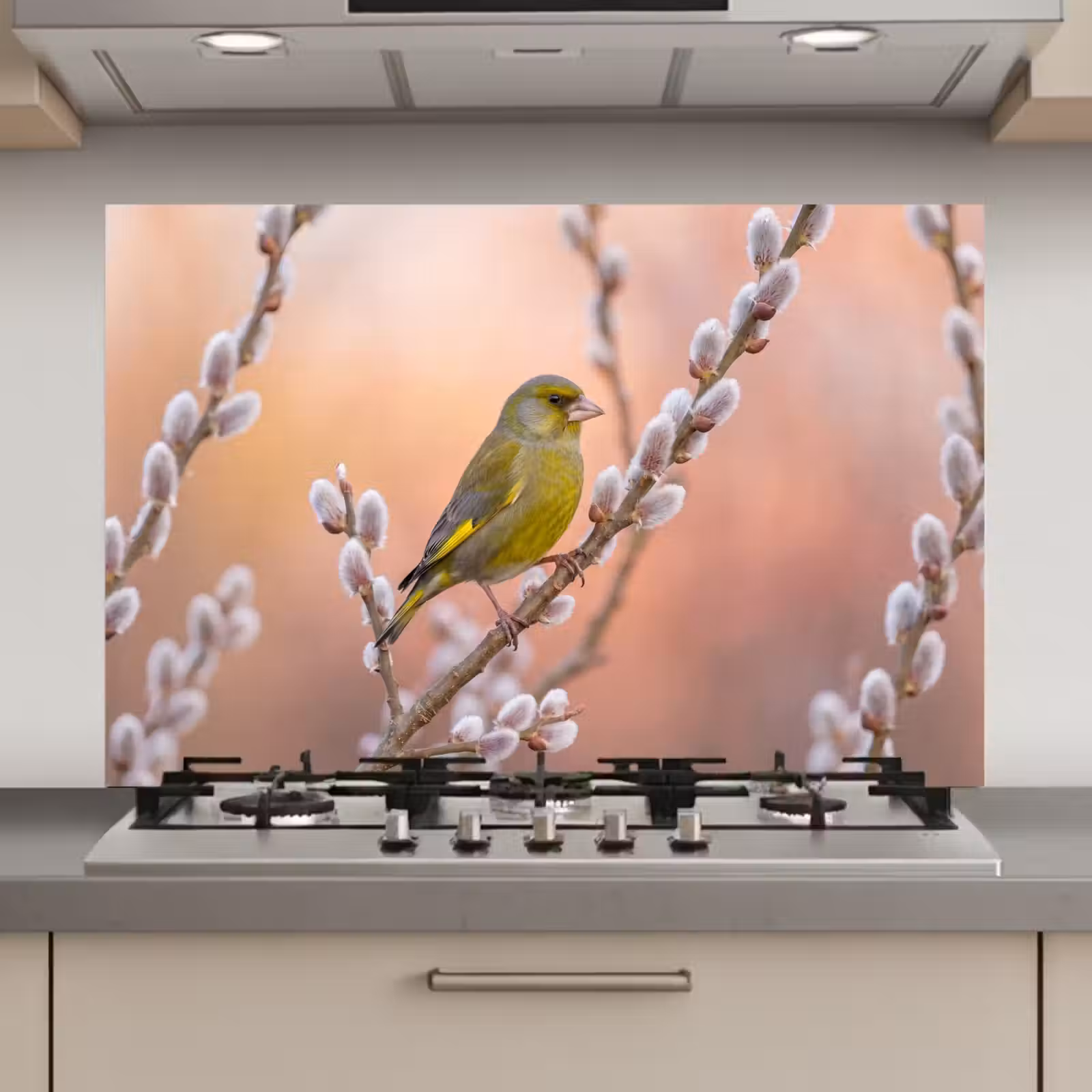 Spatscherm keuken - Groenling - Katjes - Lente - Natuur - Zacht — 1