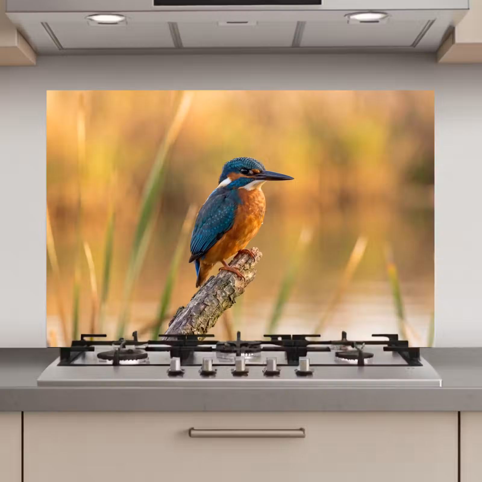 Spatscherm keuken - IJsvogel - Tak - Water - Kleurrijk - Levendig — 1