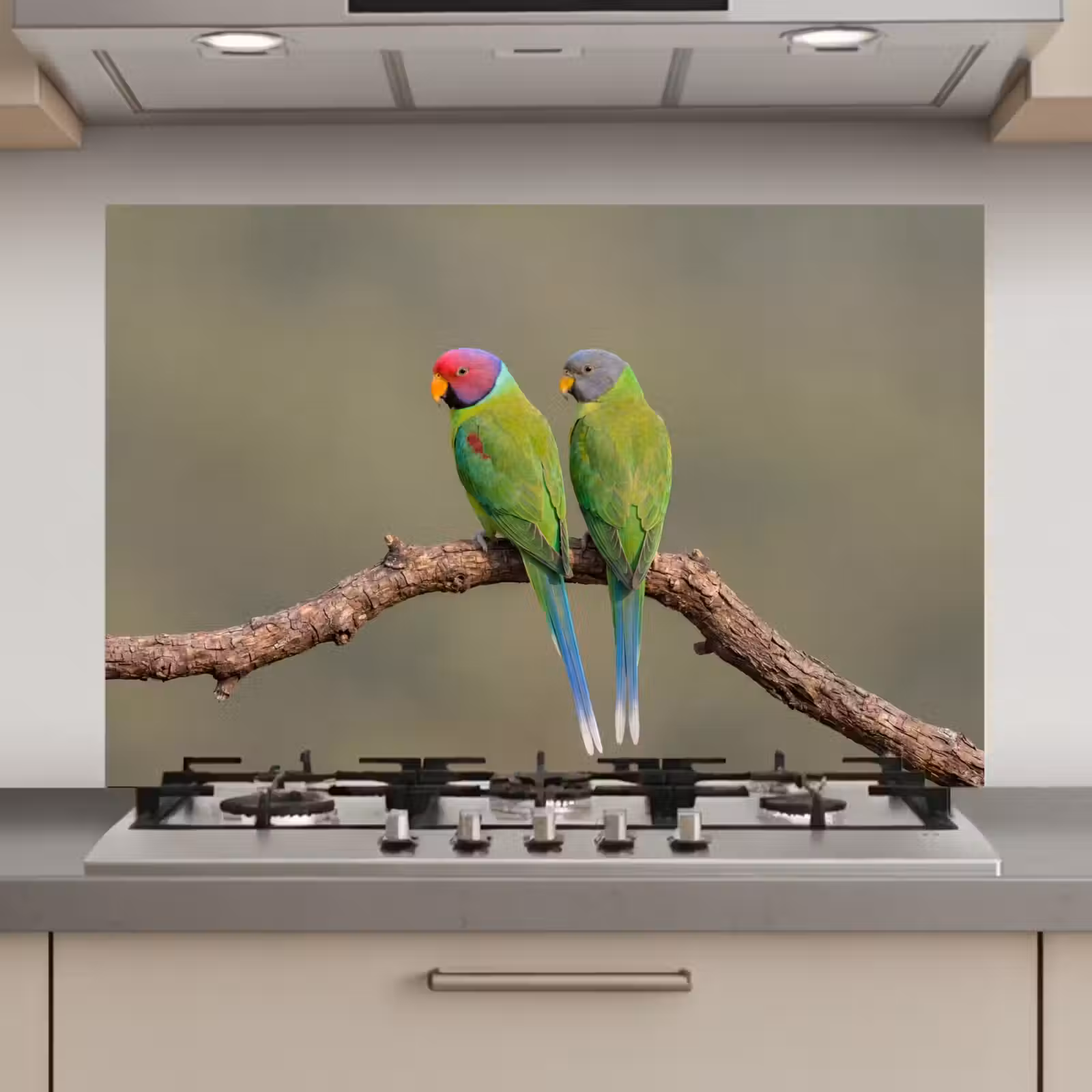 Spatscherm keuken - Papagaai - Tak - Natuur - Kleurrijk — 1