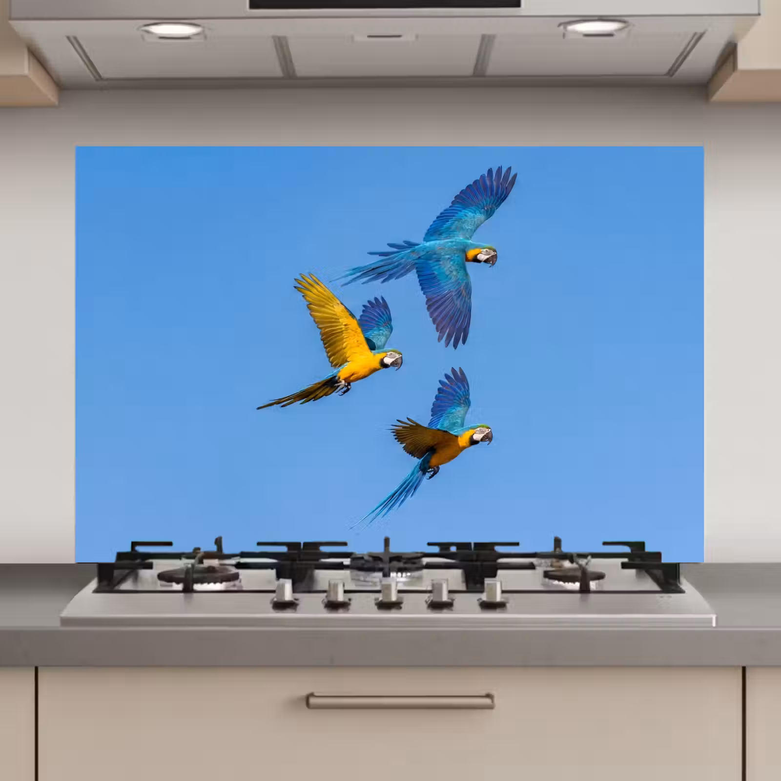 Spatscherm keuken - Papagaai - Vliegen - Blauw - Geel — 1