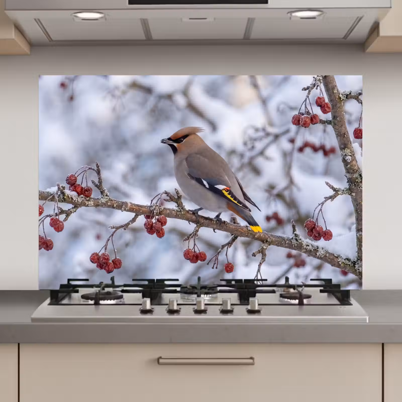 Spatscherm keuken - Pestvogel - Bessen - Winter - Natuur — 1