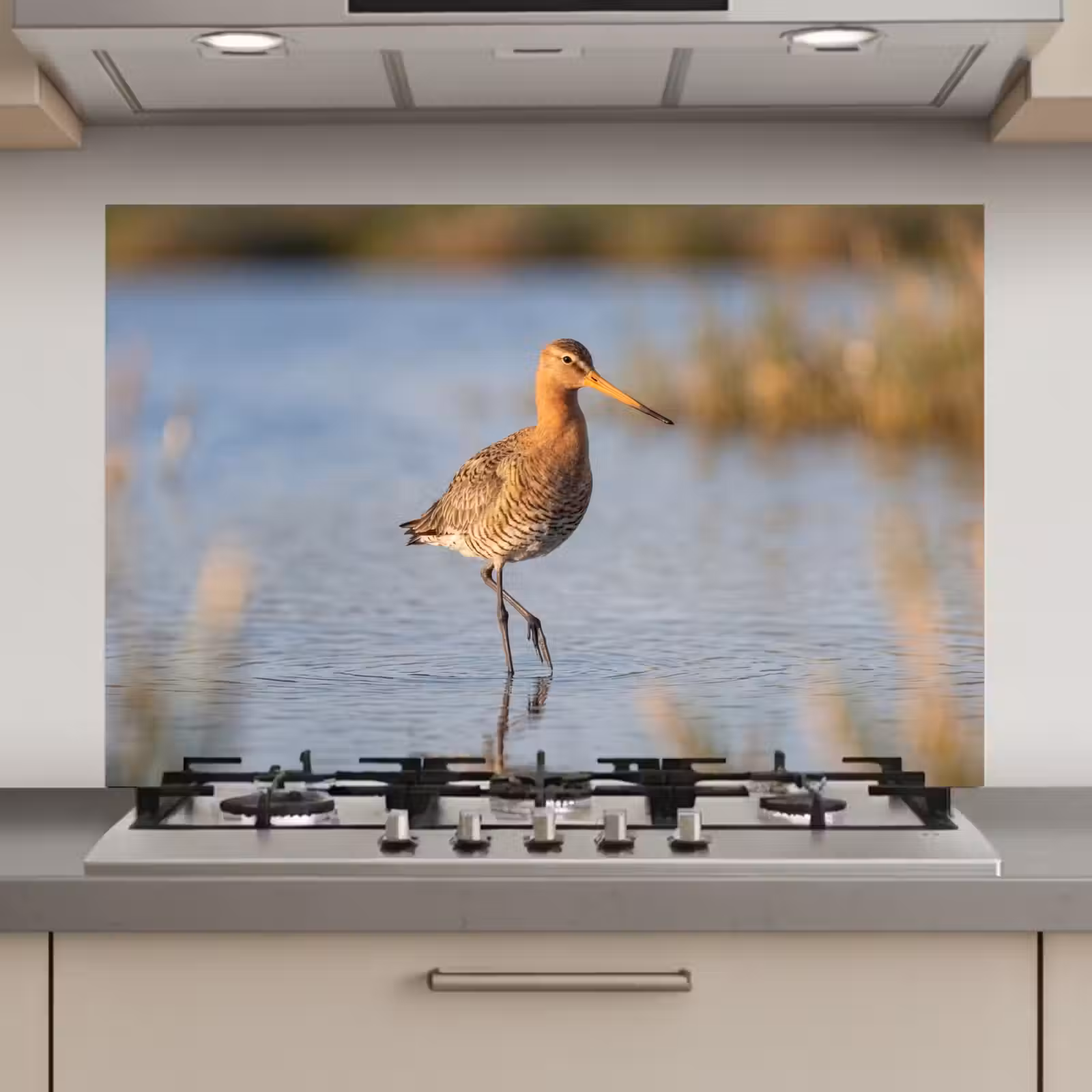 Spatscherm keuken - Vogel - Steltloper - Water - Natuur — 1