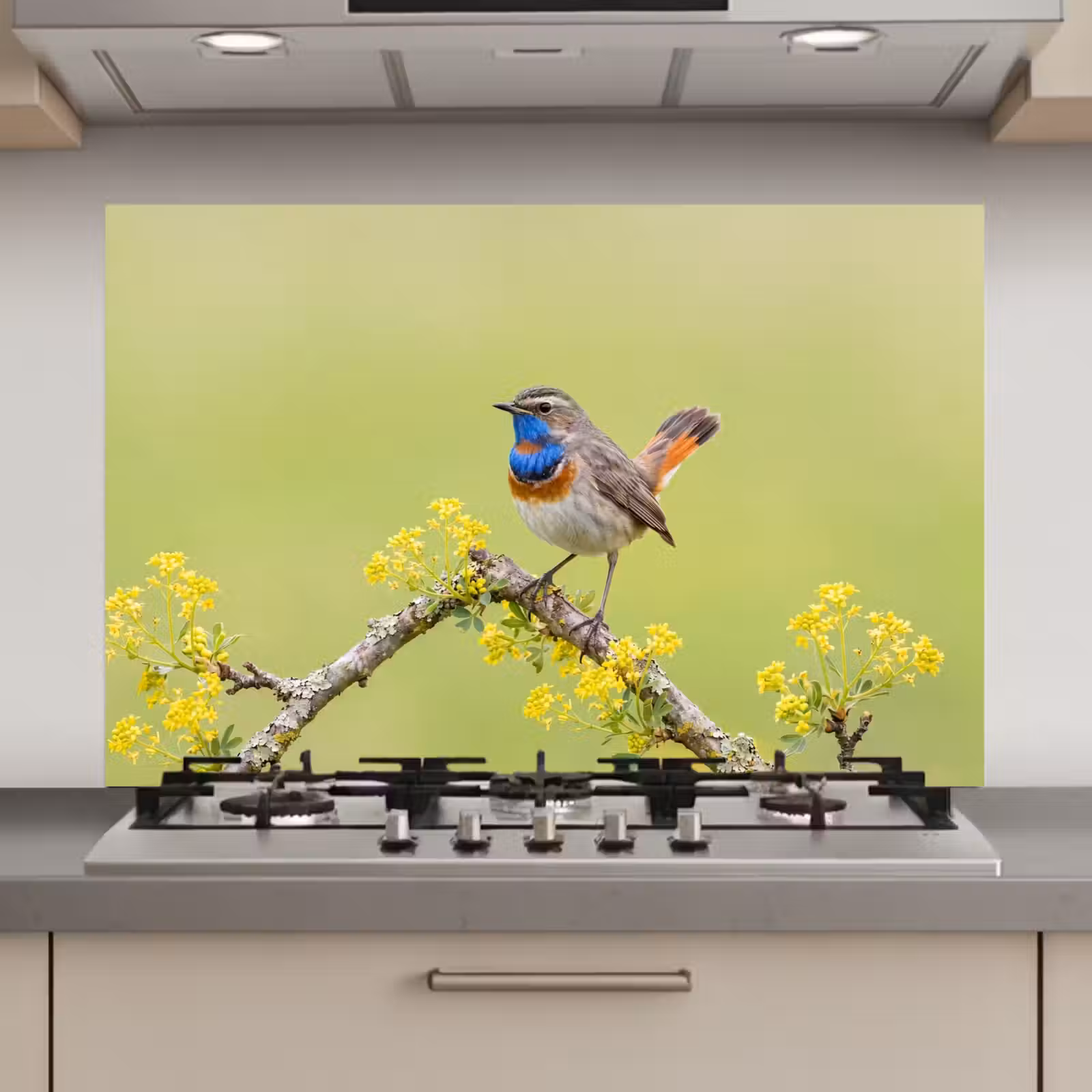 Spatscherm keuken - Vogel - Tak - Natuur - Kleurrijk — 1
