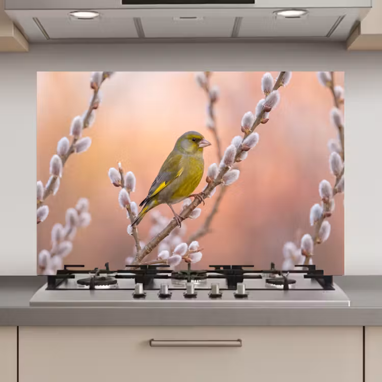 Spatscherm keuken - Groenling - Katjes - Lente - Natuur - Zacht — 1