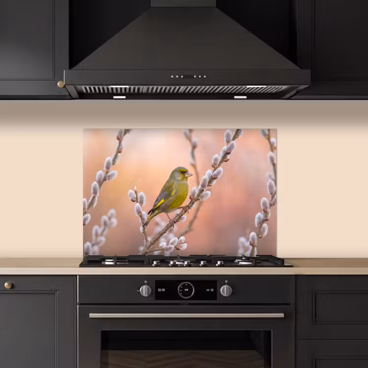 Spatscherm keuken - Groenling - Katjes - Lente - Natuur - Zacht — 2