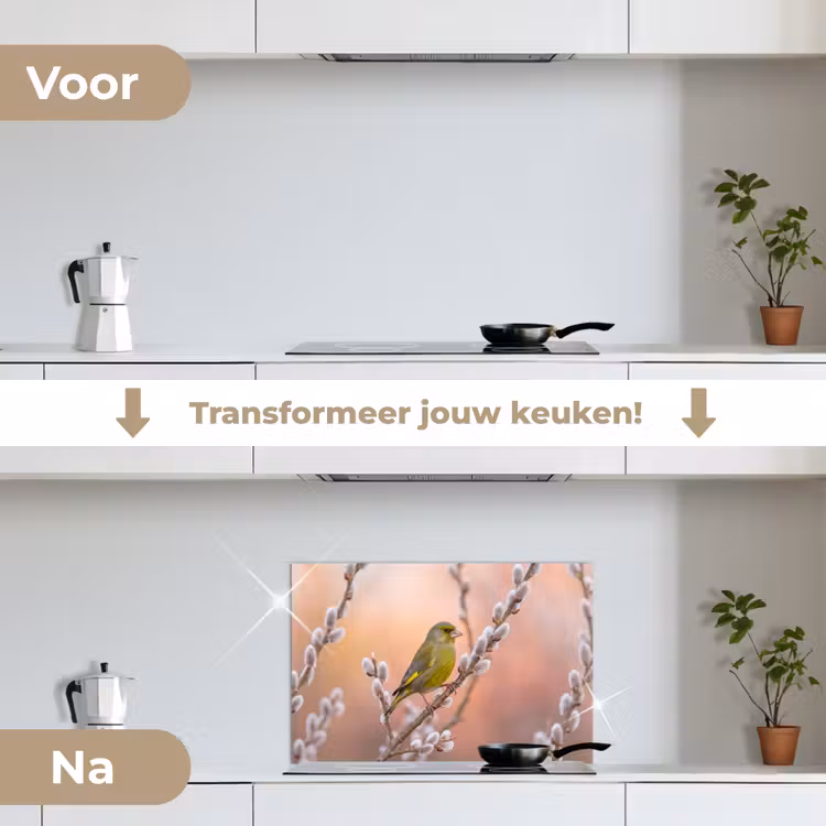 Spatscherm keuken - Groenling - Katjes - Lente - Natuur - Zacht — 3