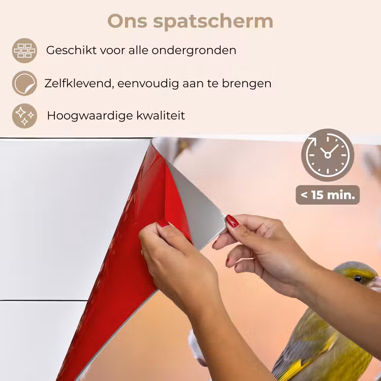 Spatscherm keuken - Groenling - Katjes - Lente - Natuur - Zacht — 4