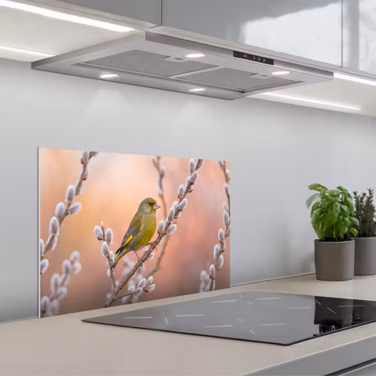 Spatscherm keuken - Groenling - Katjes - Lente - Natuur - Zacht — 5
