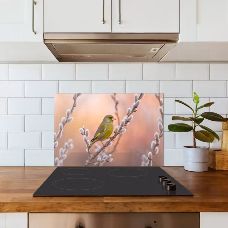 Spatscherm keuken - Groenling - Katjes - Lente - Natuur - Zacht — 6