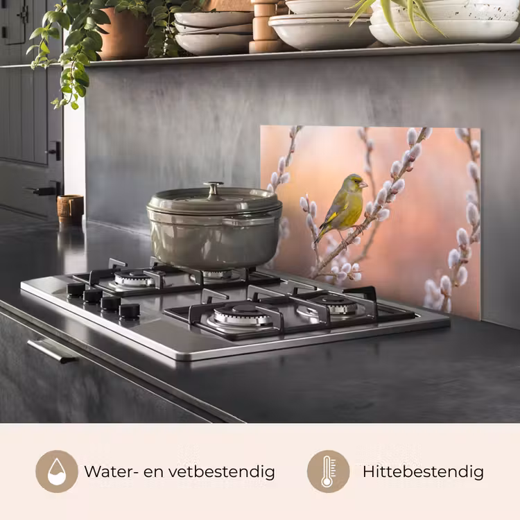 Spatscherm keuken - Groenling - Katjes - Lente - Natuur - Zacht — 7