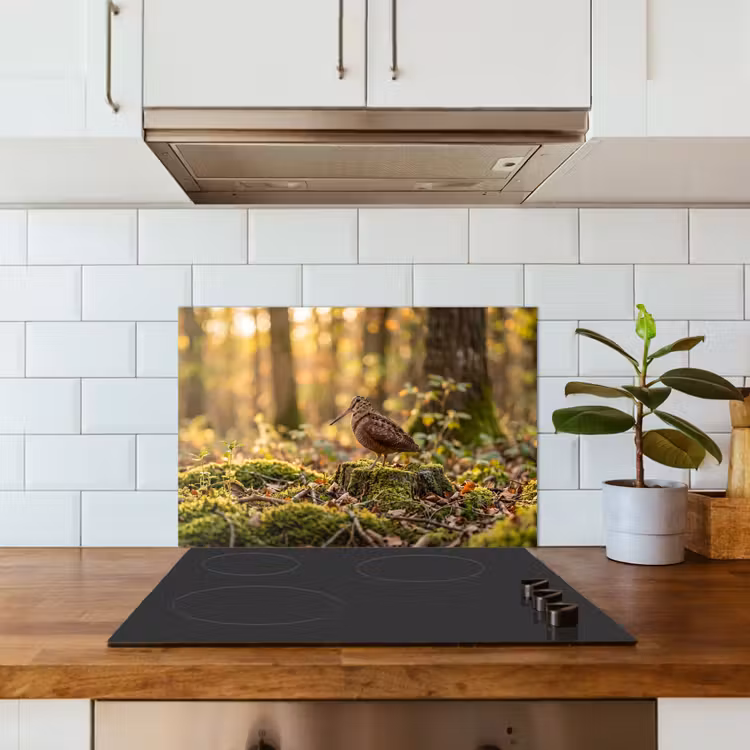 Spatscherm keuken - Houtsnip - Bos - Bladeren - Herfst - Gecamoufleerd — 6