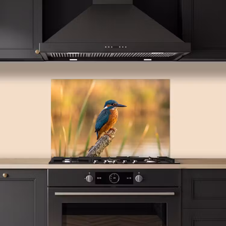 Spatscherm keuken - IJsvogel - Tak - Water - Kleurrijk - Levendig — 2