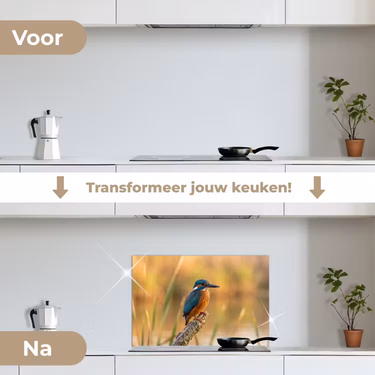 Spatscherm keuken - IJsvogel - Tak - Water - Kleurrijk - Levendig — 3
