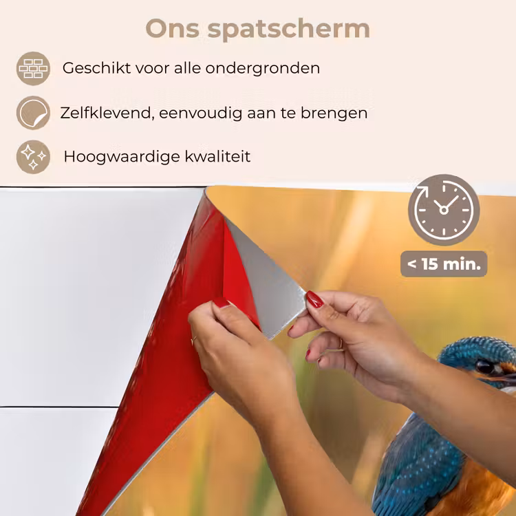 Spatscherm keuken - IJsvogel - Tak - Water - Kleurrijk - Levendig — 4