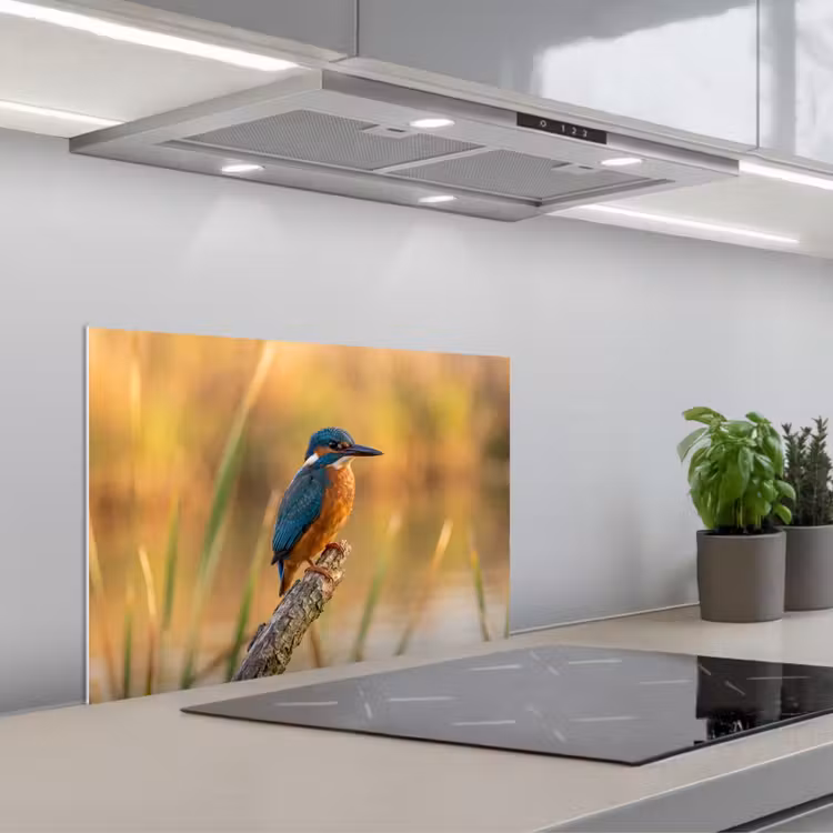 Spatscherm keuken - IJsvogel - Tak - Water - Kleurrijk - Levendig — 5