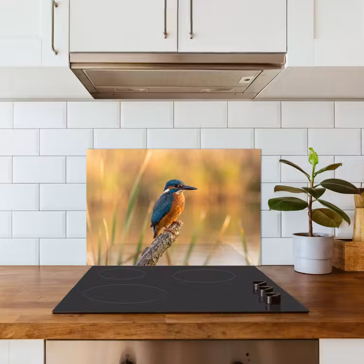 Spatscherm keuken - IJsvogel - Tak - Water - Kleurrijk - Levendig — 6