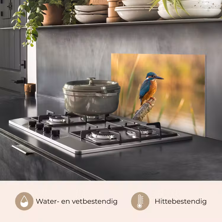 Spatscherm keuken - IJsvogel - Tak - Water - Kleurrijk - Levendig — 7