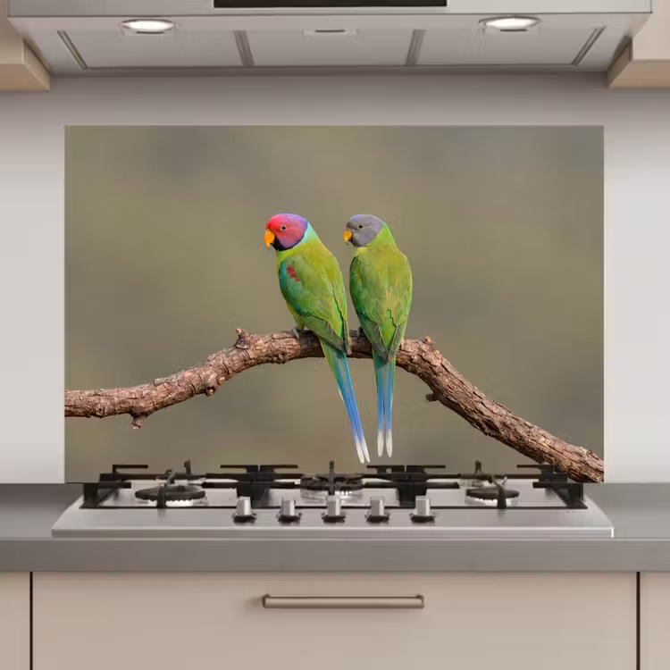 Spatscherm keuken - Papagaai - Tak - Natuur - Kleurrijk — 1