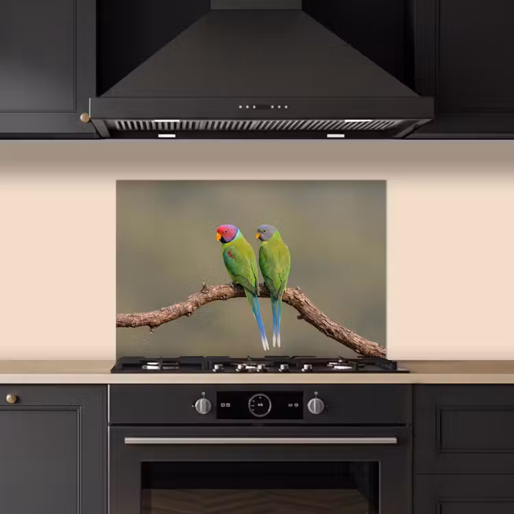 Spatscherm keuken - Papagaai - Tak - Natuur - Kleurrijk — 2