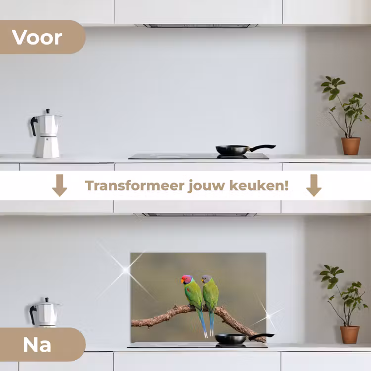 Spatscherm keuken - Papagaai - Tak - Natuur - Kleurrijk — 3