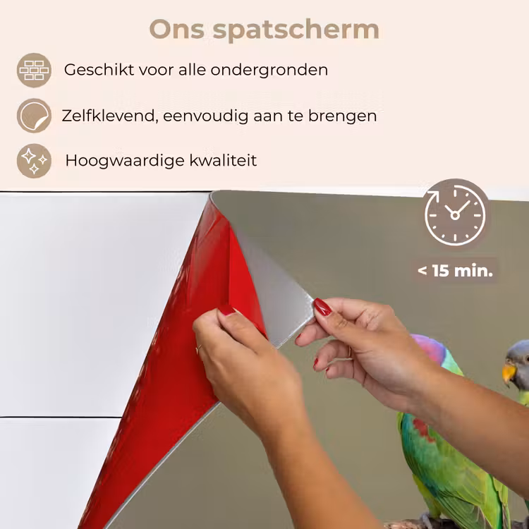 Spatscherm keuken - Papagaai - Tak - Natuur - Kleurrijk — 4