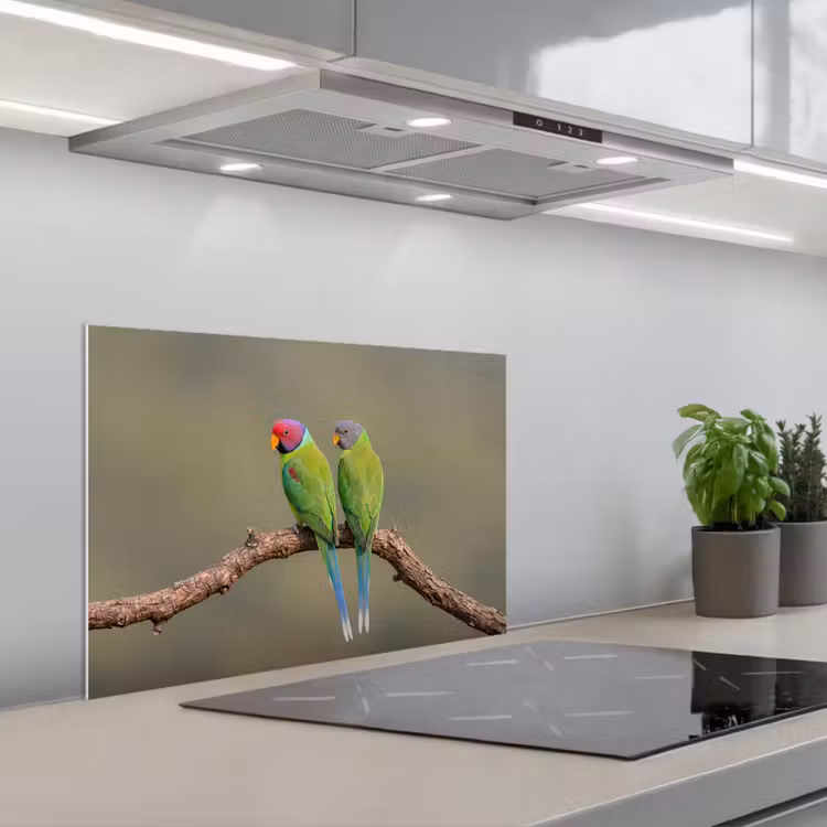 Spatscherm keuken - Papagaai - Tak - Natuur - Kleurrijk — 5