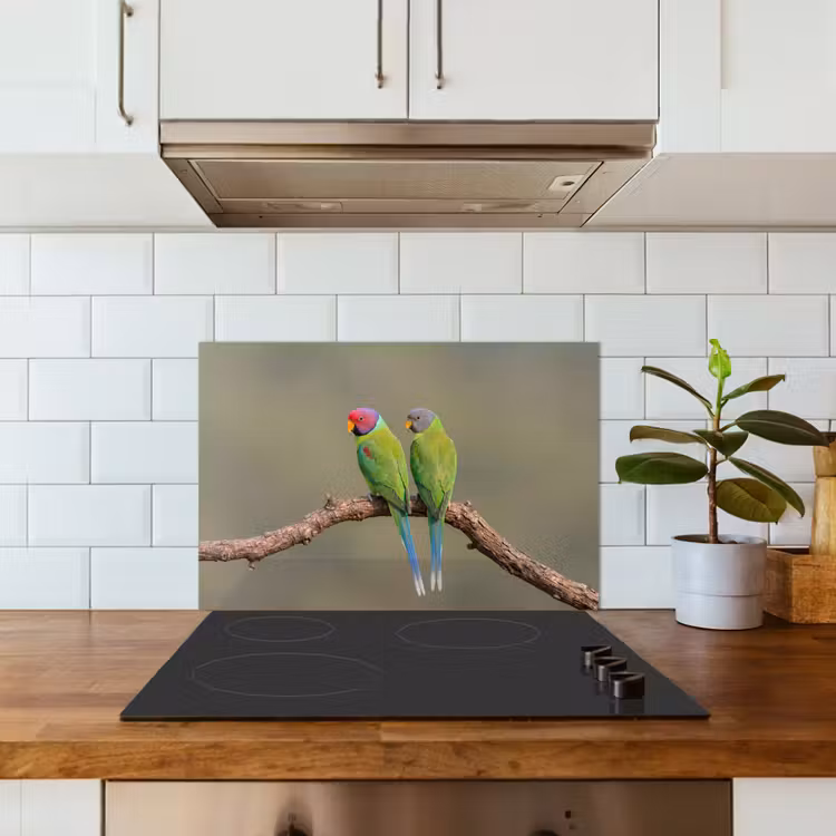 Spatscherm keuken - Papagaai - Tak - Natuur - Kleurrijk — 6
