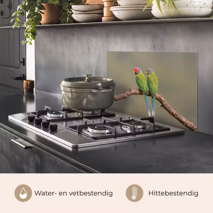 Spatscherm keuken - Papagaai - Tak - Natuur - Kleurrijk — 7