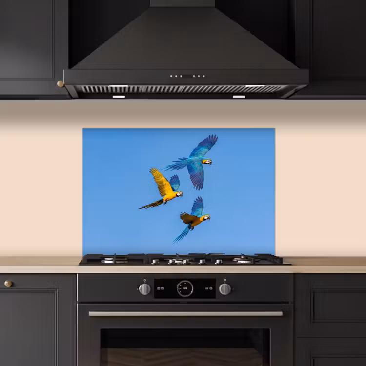 Spatscherm keuken - Papagaai - Vliegen - Blauw - Geel — 2