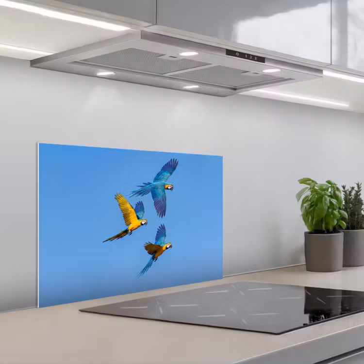 Spatscherm keuken - Papagaai - Vliegen - Blauw - Geel — 5
