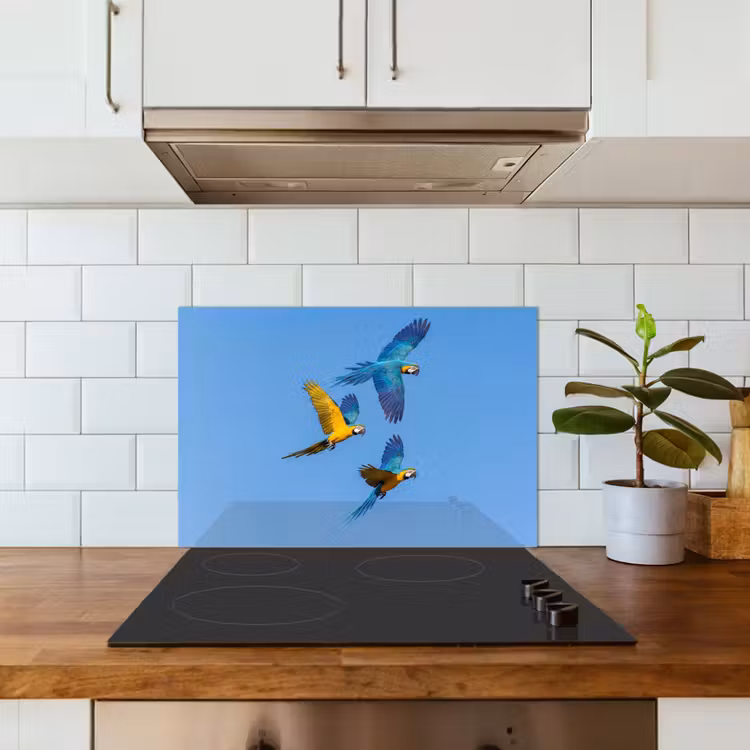 Spatscherm keuken - Papagaai - Vliegen - Blauw - Geel — 6
