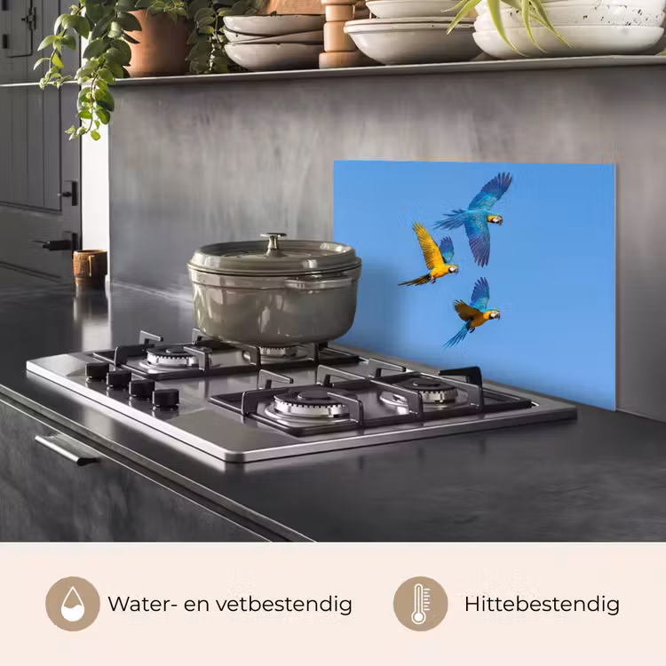 Spatscherm keuken - Papagaai - Vliegen - Blauw - Geel — 7