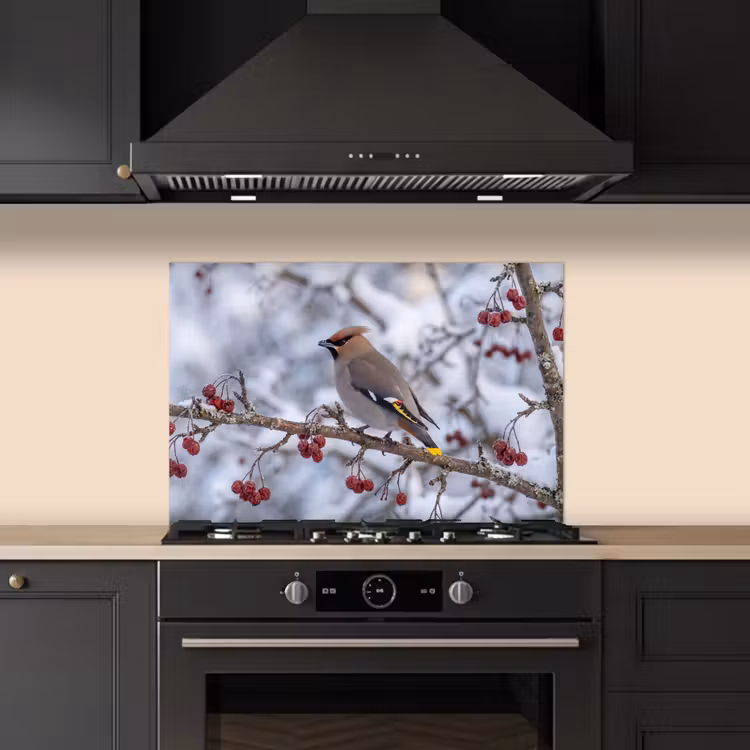 Spatscherm keuken - Pestvogel - Bessen - Winter - Natuur — 2