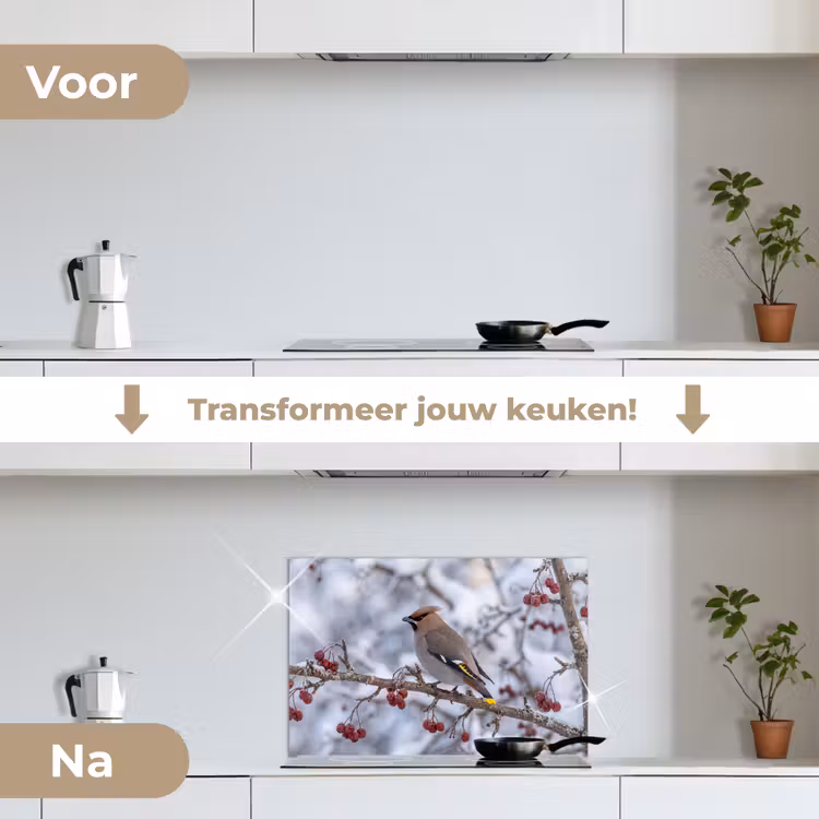 Spatscherm keuken - Pestvogel - Bessen - Winter - Natuur — 3