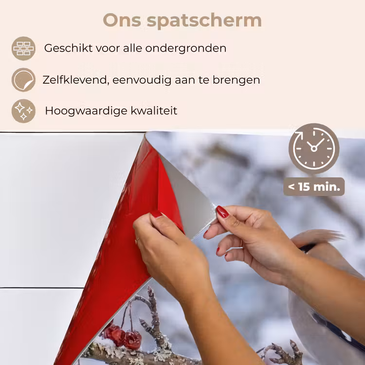 Spatscherm keuken - Pestvogel - Bessen - Winter - Natuur — 4