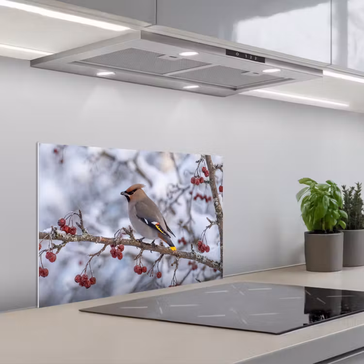 Spatscherm keuken - Pestvogel - Bessen - Winter - Natuur — 5