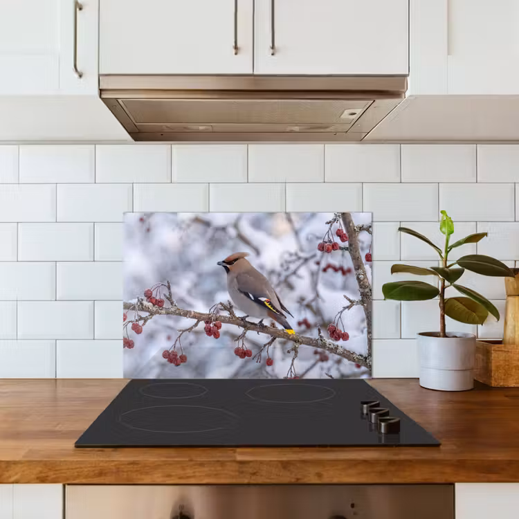 Spatscherm keuken - Pestvogel - Bessen - Winter - Natuur — 6