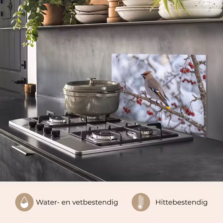 Spatscherm keuken - Pestvogel - Bessen - Winter - Natuur — 7