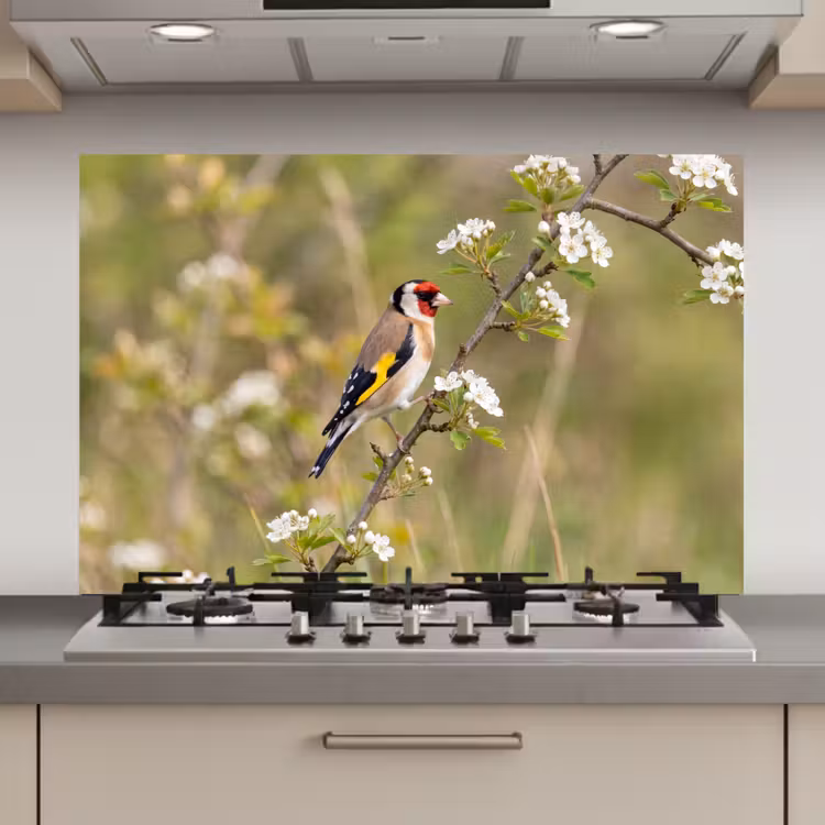 Spatscherm keuken - Putter - Bloesem - Lente - Natuur - Kleurrijk — 1