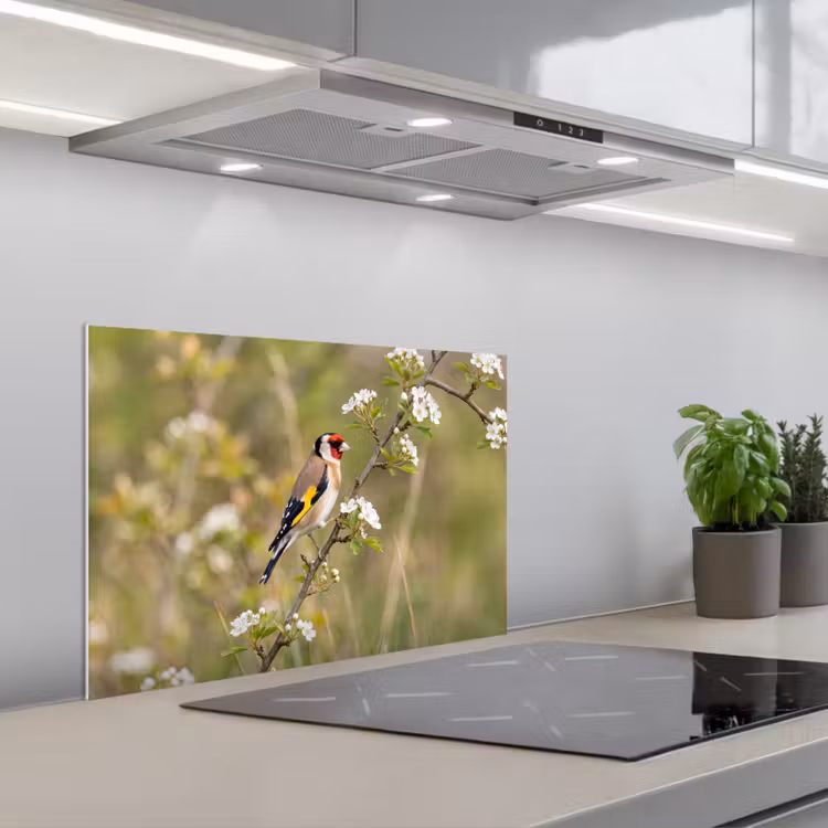 Spatscherm keuken - Putter - Bloesem - Lente - Natuur - Kleurrijk — 5