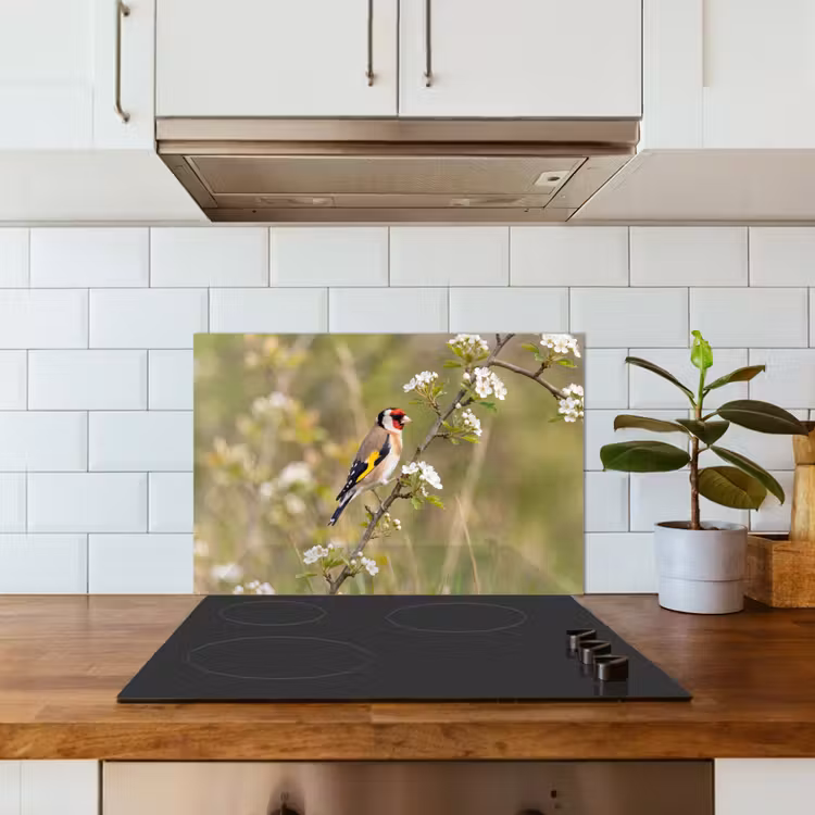 Spatscherm keuken - Putter - Bloesem - Lente - Natuur - Kleurrijk — 6