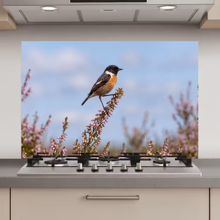 Spatscherm keuken - Roodborsttapuit - Heide - Paars - Natuur - Sfeervol — 1