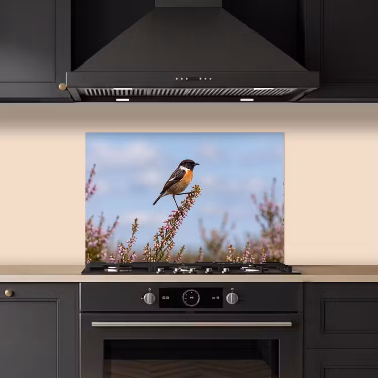 Spatscherm keuken - Roodborsttapuit - Heide - Paars - Natuur - Sfeervol — 2
