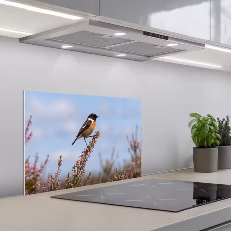 Spatscherm keuken - Roodborsttapuit - Heide - Paars - Natuur - Sfeervol — 5