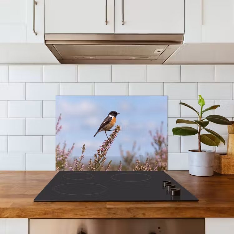 Spatscherm keuken - Roodborsttapuit - Heide - Paars - Natuur - Sfeervol — 6