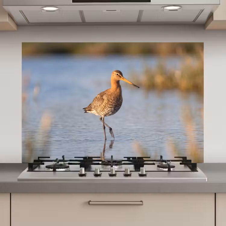 Spatscherm keuken - Vogel - Steltloper - Water - Natuur — 1