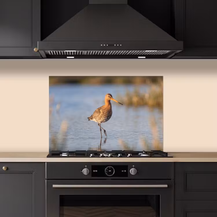 Spatscherm keuken - Vogel - Steltloper - Water - Natuur — 2