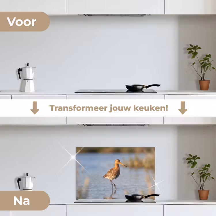 Spatscherm keuken - Vogel - Steltloper - Water - Natuur — 3