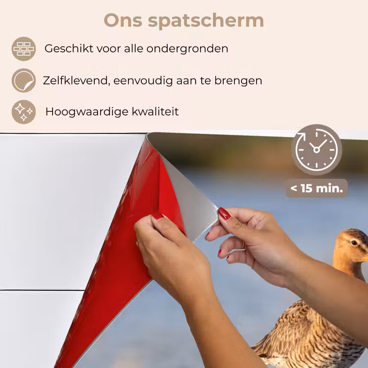 Spatscherm keuken - Vogel - Steltloper - Water - Natuur — 4