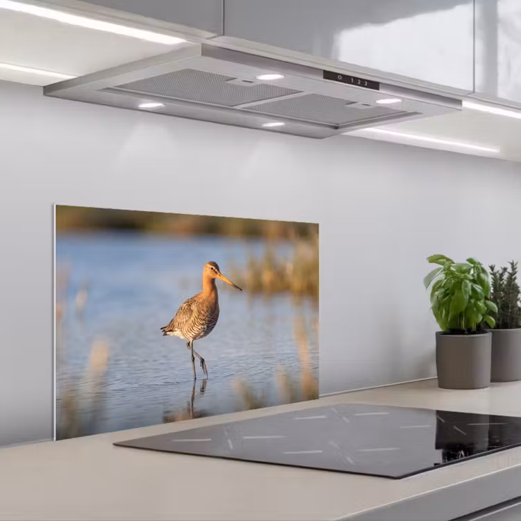 Spatscherm keuken - Vogel - Steltloper - Water - Natuur — 5